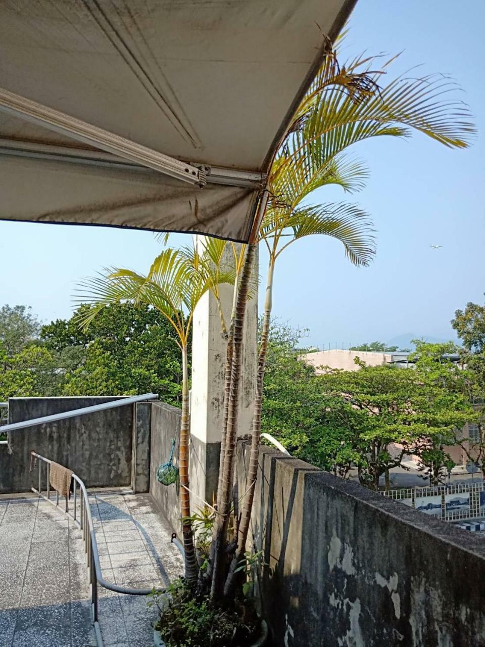 Formosa Backpackers Hostel & Apartment（青年民宿） Хуалянь Экстерьер фото